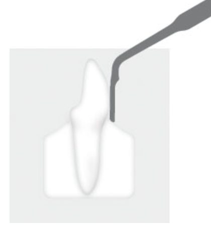 7.PNG